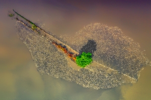 Salon.Photo Bronze Medal