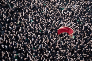 Salon.Photo Bronze Medal