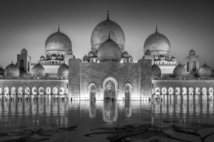 Salon.Photo Bronze Medal