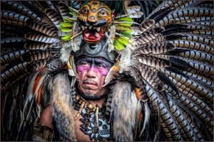 Salon.Photo Gold Medal